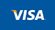 visa icon